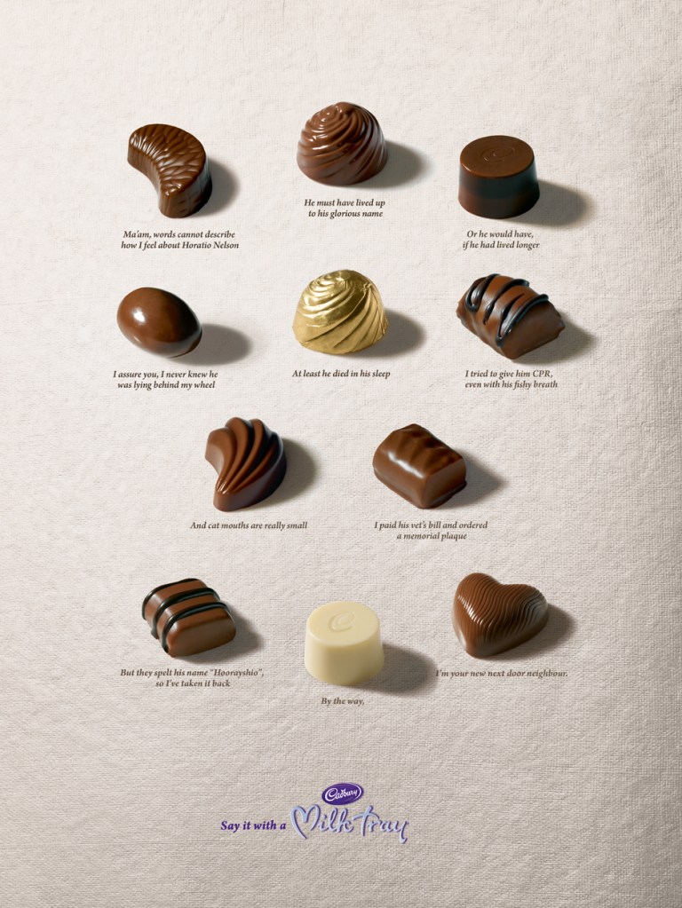 SorryIranOverYourCat